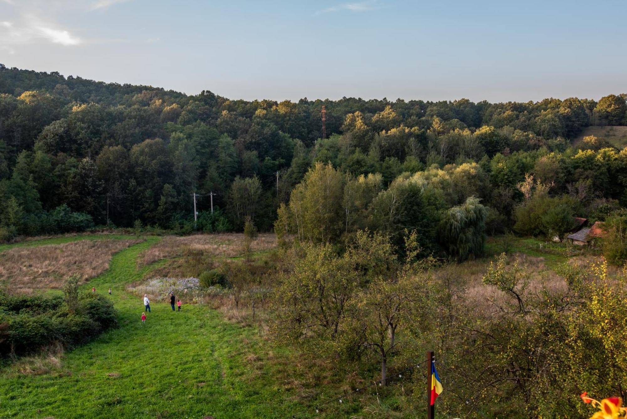 Hanu Fain Hotel Решица Екстериор снимка